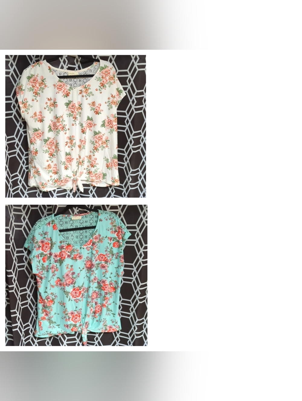 Shirt bundle of 2 Bobby Brooks plus size